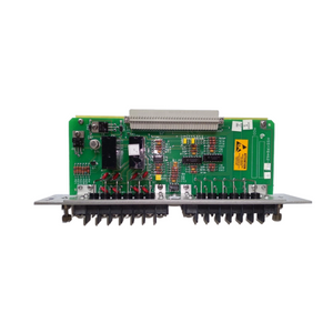 Bently Nevada 84145-01 XDCR I/O Record Terminal